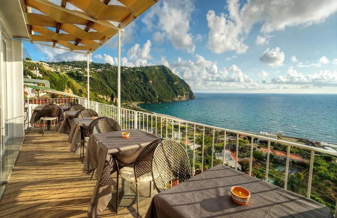 Room In Bb - Ischia-Forio With A Breathtaking View, Above The Poseidon Gardens--1